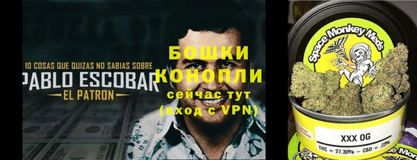 меф Заволжск