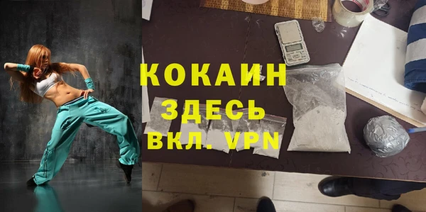бошки Заводоуковск