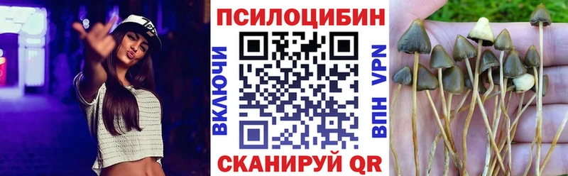 Галлюциногенные грибы Psilocybine cubensis  Купить закладки  Алзамай 